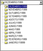 Lista de Pastas com os Meses.
A subdivis�o em assuntos � opcional